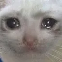 SadCat