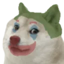 societydoge