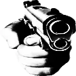 NOIRGUN