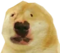 bruh bruh