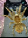 emoji_9