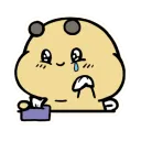 BB_wipe