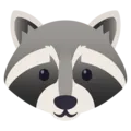 raccoon