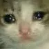 cryig