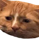 FranklinSad FranklinSad