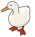 duck