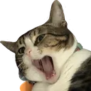 naniSCREM Discord Emoji