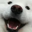 happer