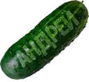xZreliu_Ogurec