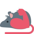 rat_muscle