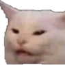 Catglare catglare Discord Emoji