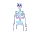 skeleton_dab skeleton_dab