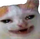 smiling_but_crying