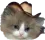 meowdy