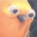 wtfbird