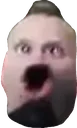 swog