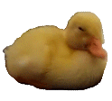:nono: