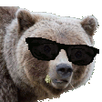 :koolbear: