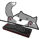 bongofox