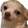 smhmyheadBOYE