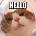HELLO