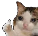 akGG