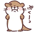 otter_angry otter_angry