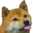:blepBOYE: