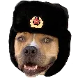 ComradeFish ComradeFish