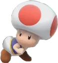 ToadButt