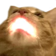 :MJAU: