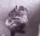 :sewershower: