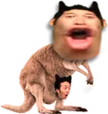 POGGAROO