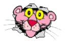 wasturrosa