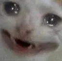 sadcat sadcat