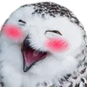 blushingOwl