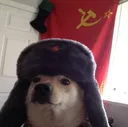 communismdoggo