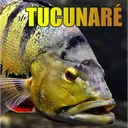 tucunare