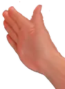 Nut