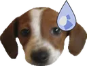 LilWorried