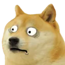 doge_S doge_S