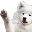 dogWave dogWave