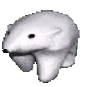 aBearConga