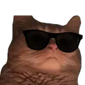 bopcool