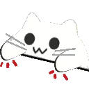 RWcatbongo