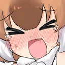dholeflustered