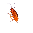 aTctPartyRoach