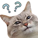 kitty_wat