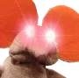 awoogenzoom awoogenzoom