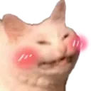 smudge_blush